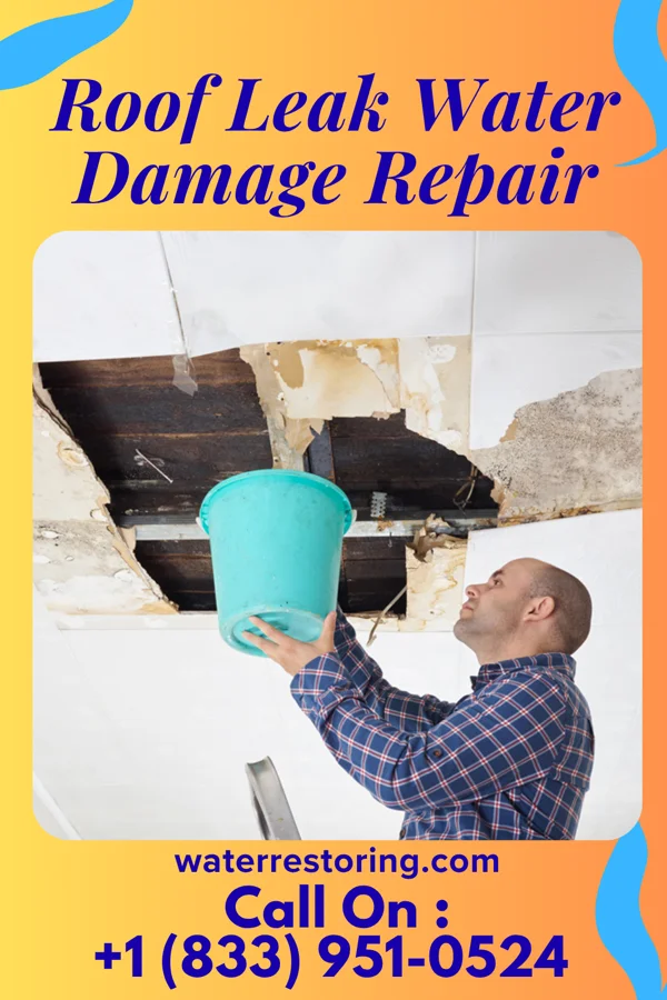 Roof Leak Water Damage Repair in Kill Devil Hills, NC