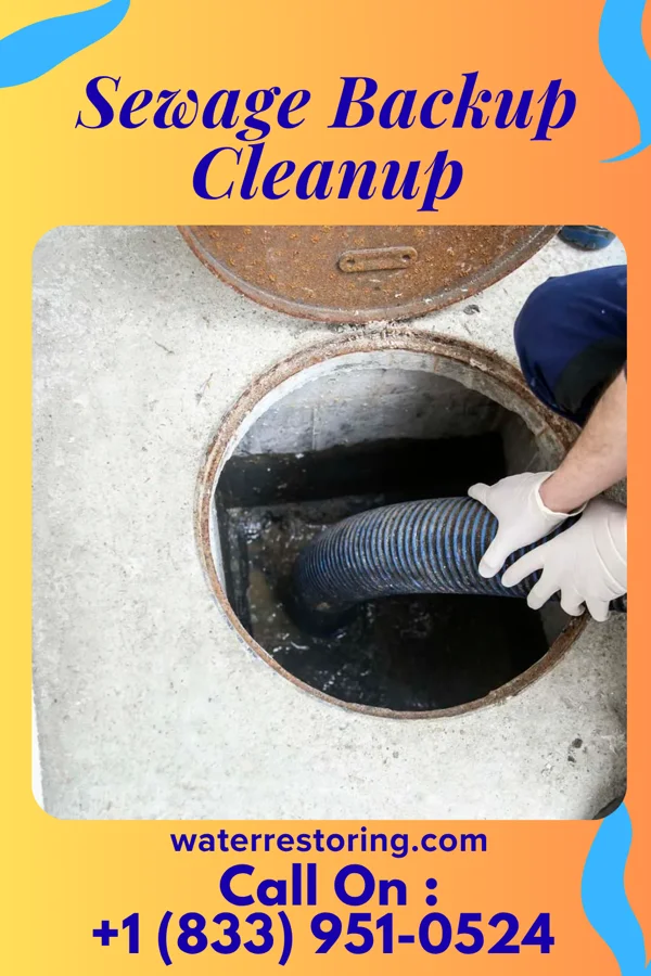 Sewage Backup Cleanup in Kill Devil Hills, NC